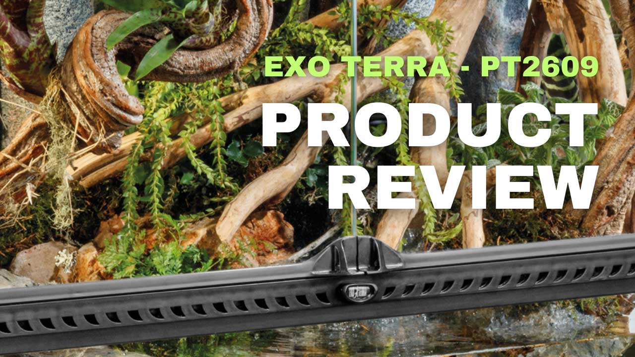 Reptile-Sales-Product-Review-Exo-Terra-AU