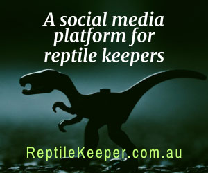 reptile-keeper