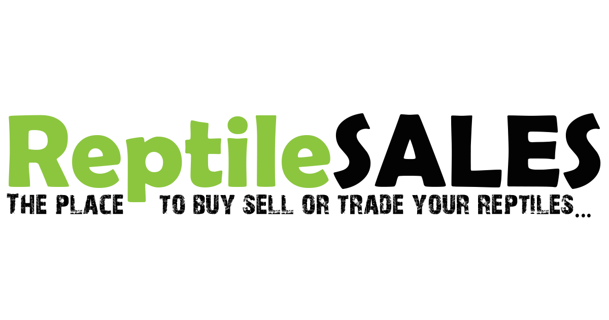 Reptile hot sale selling sites