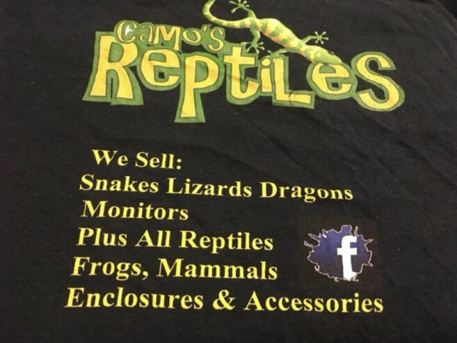 All Reptile Food