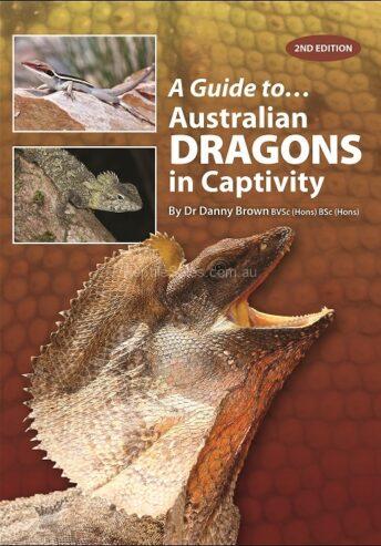A Guide to Australian Dragons