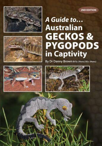 A Guide to Geckos and Pygopods